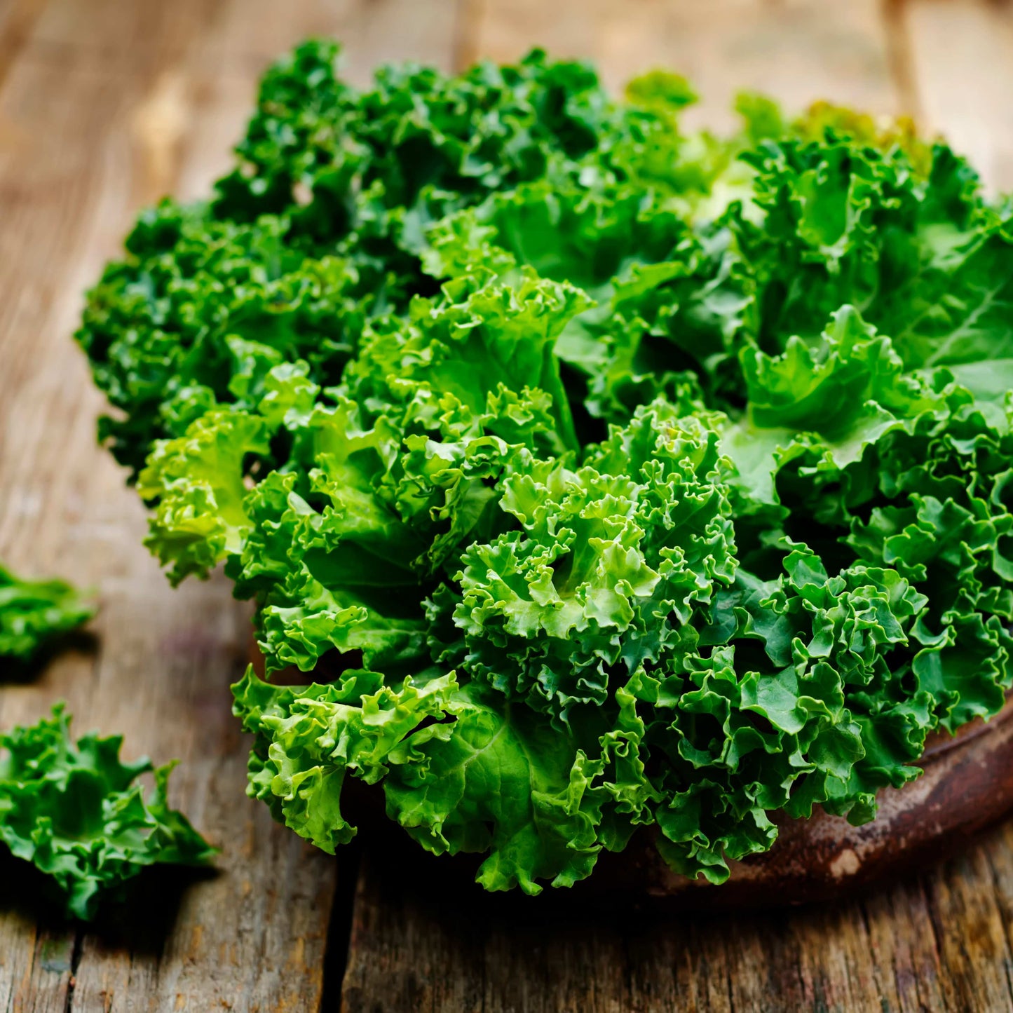 100Pcs Organic Kale Plant Seeds