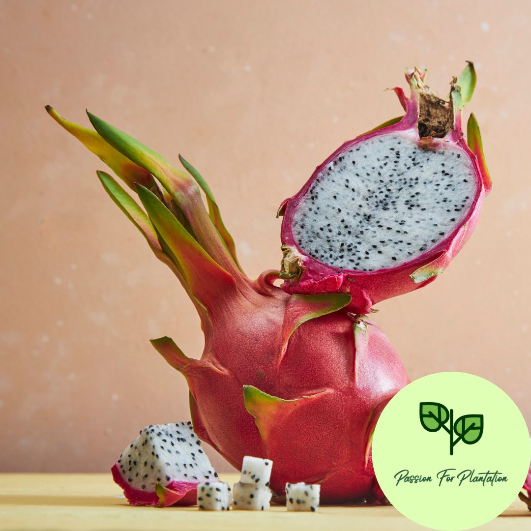 100Pcs Dragon Fruit Seeds