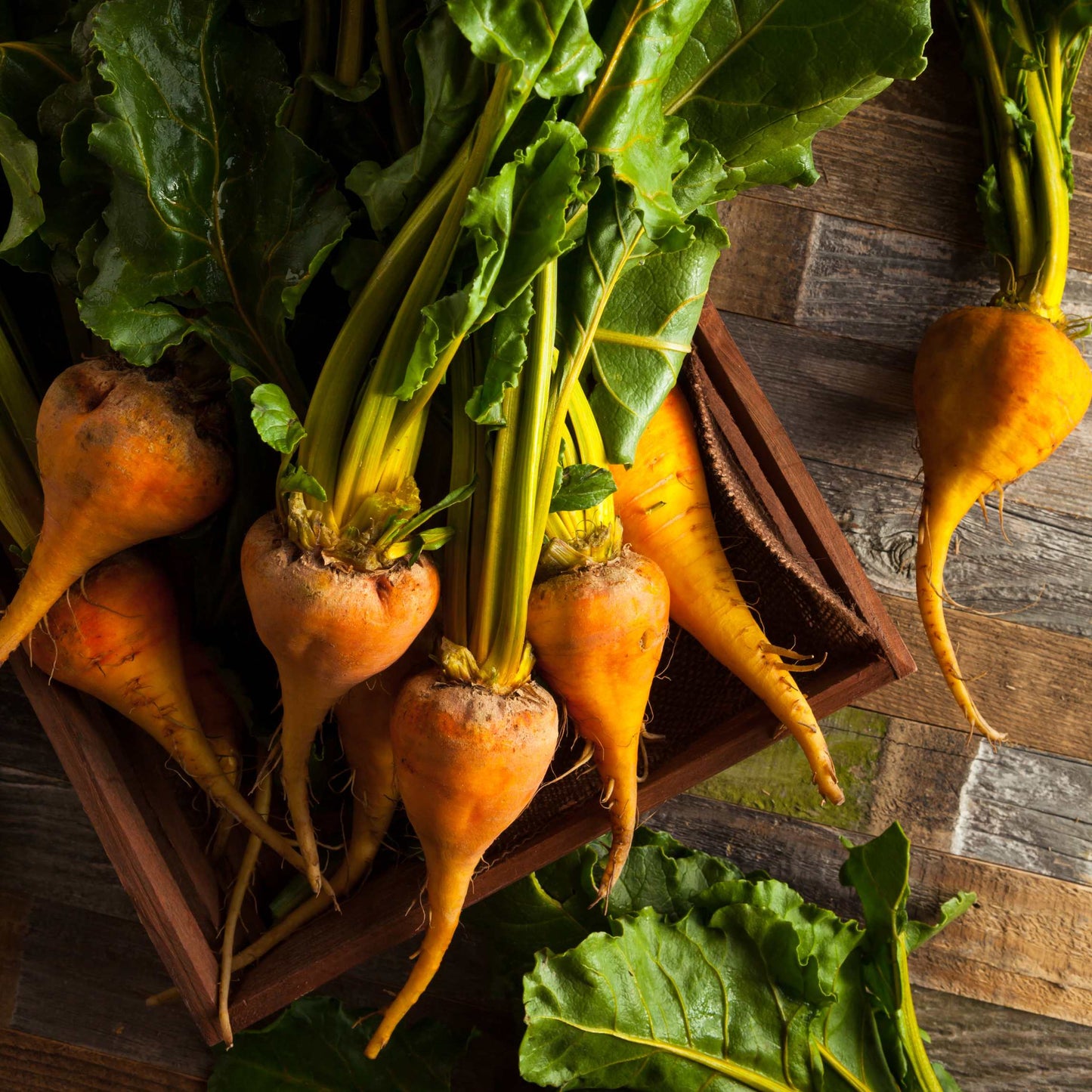 50Pcs Organic Golden Beetroot Seeds Pack