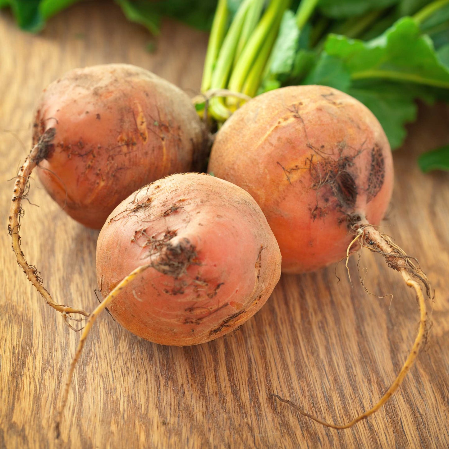 50Pcs Organic Golden Beetroot Seeds Pack