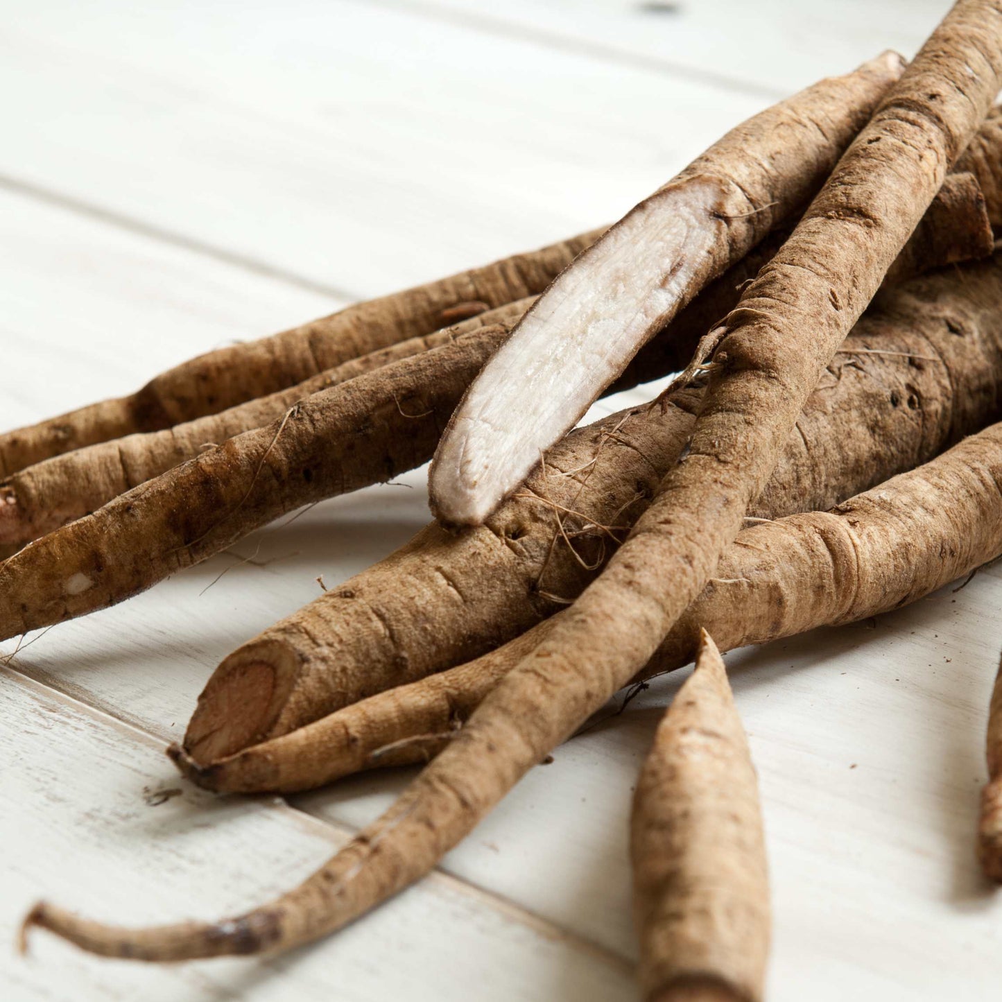 100Pcs Organic Burdock Seeds