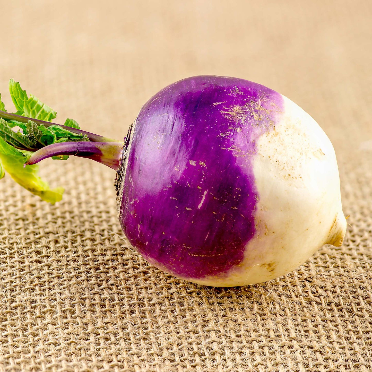 100Pcs Organic Turnip Seeds Pack
