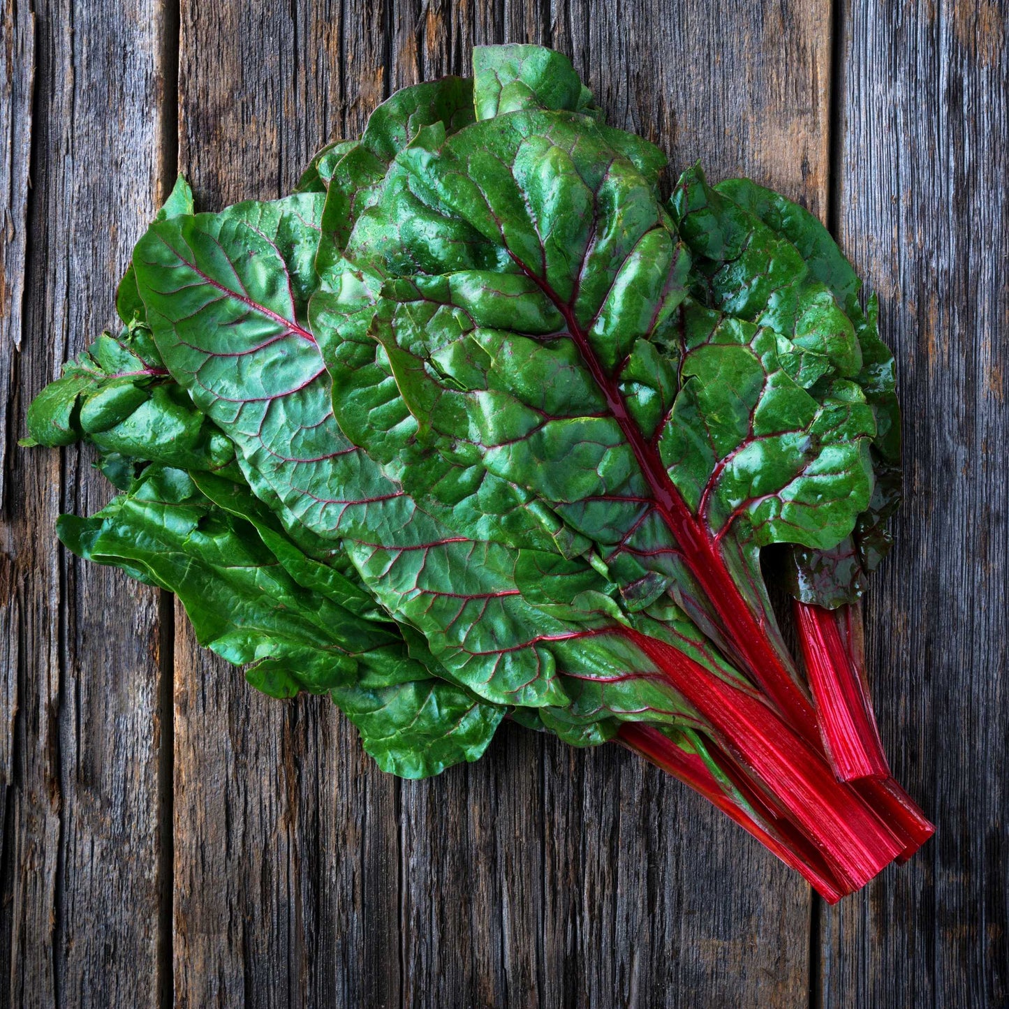20Pcs Organic Swiss Chard Seeds