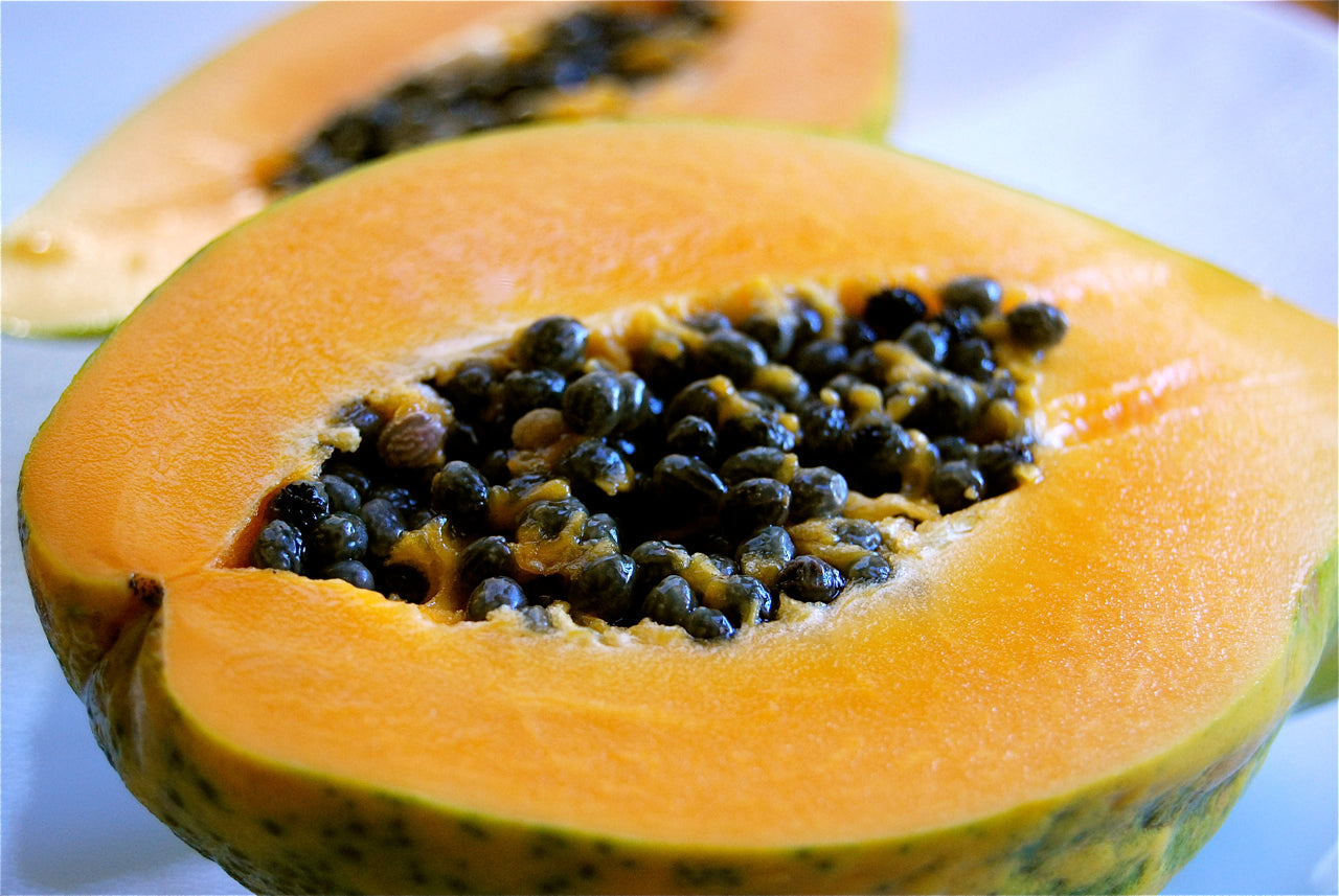 20Pcs Large Papaya Seeds