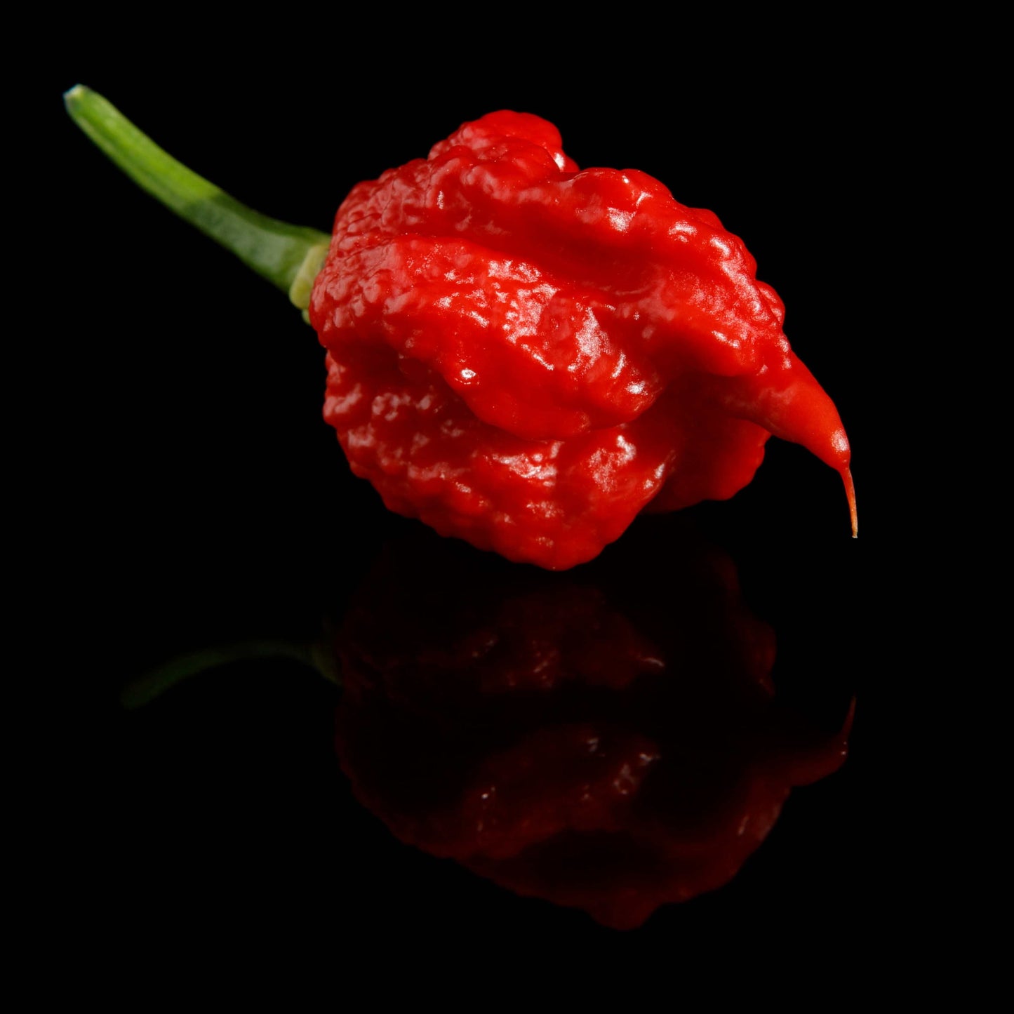100Pcs Carolina Reaper Pepper Seeds