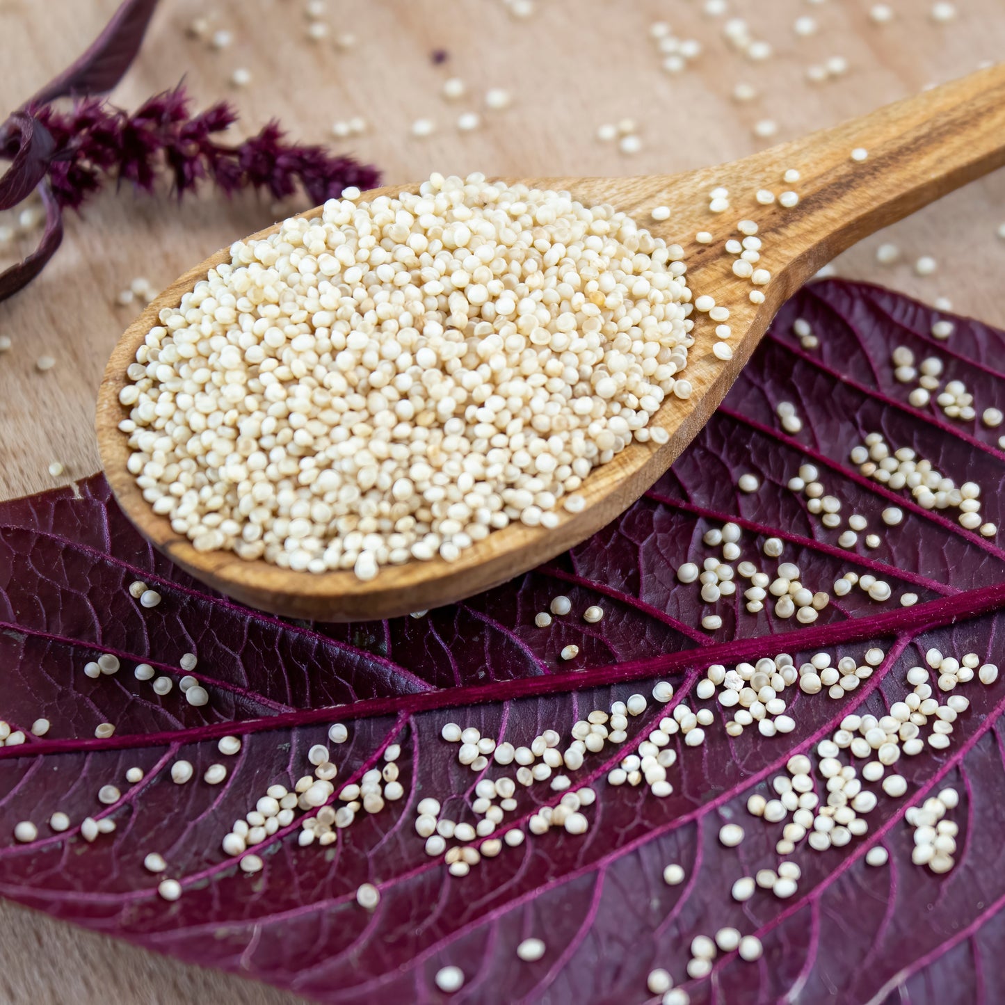 100Pcs Amaranth Plant Seeds