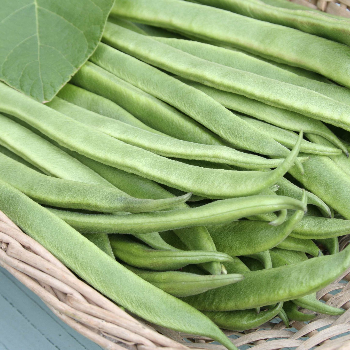 20Pcs Organic Pole Bean Vegetable Seeds