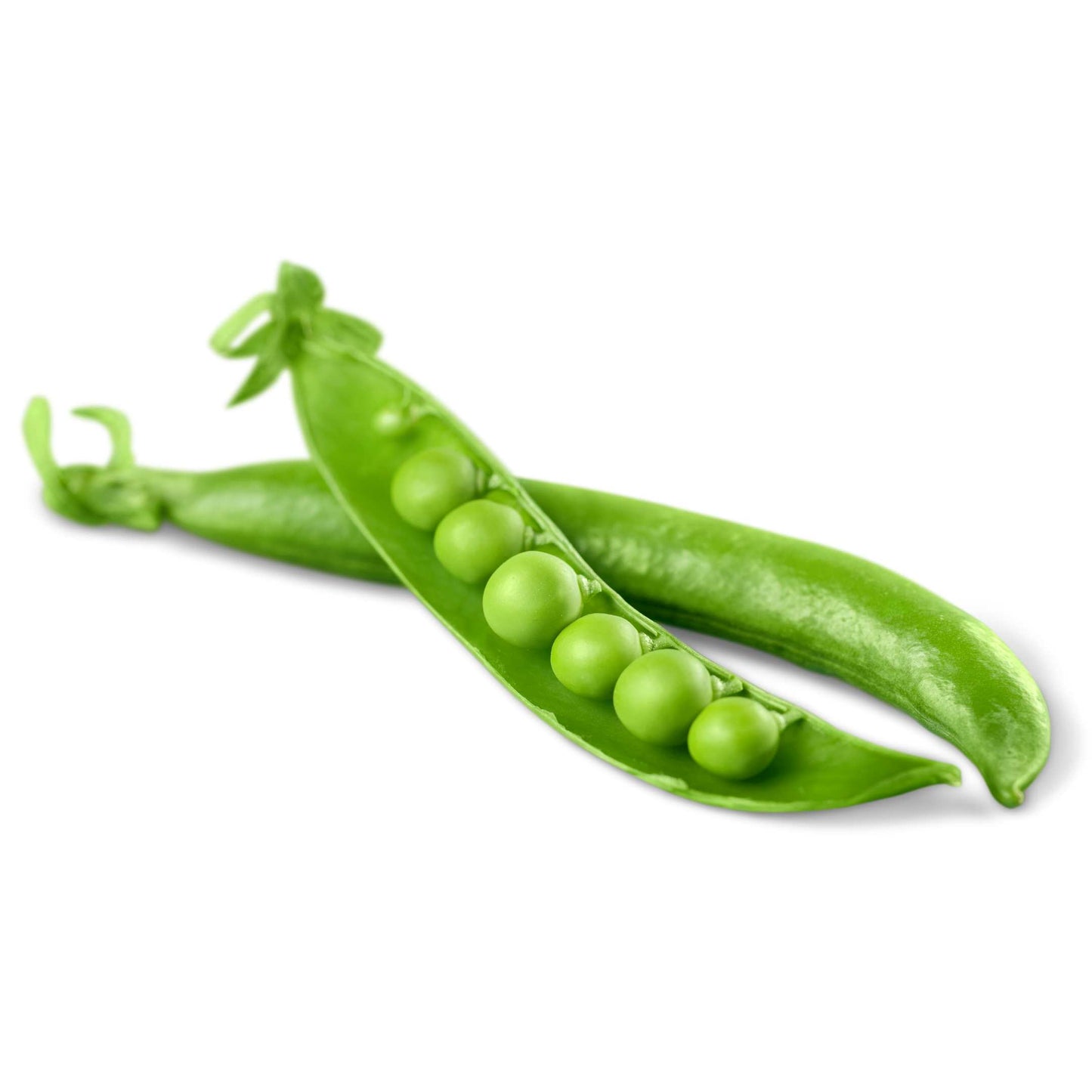10Pcs Organic Sweet Pea Seeds Pack