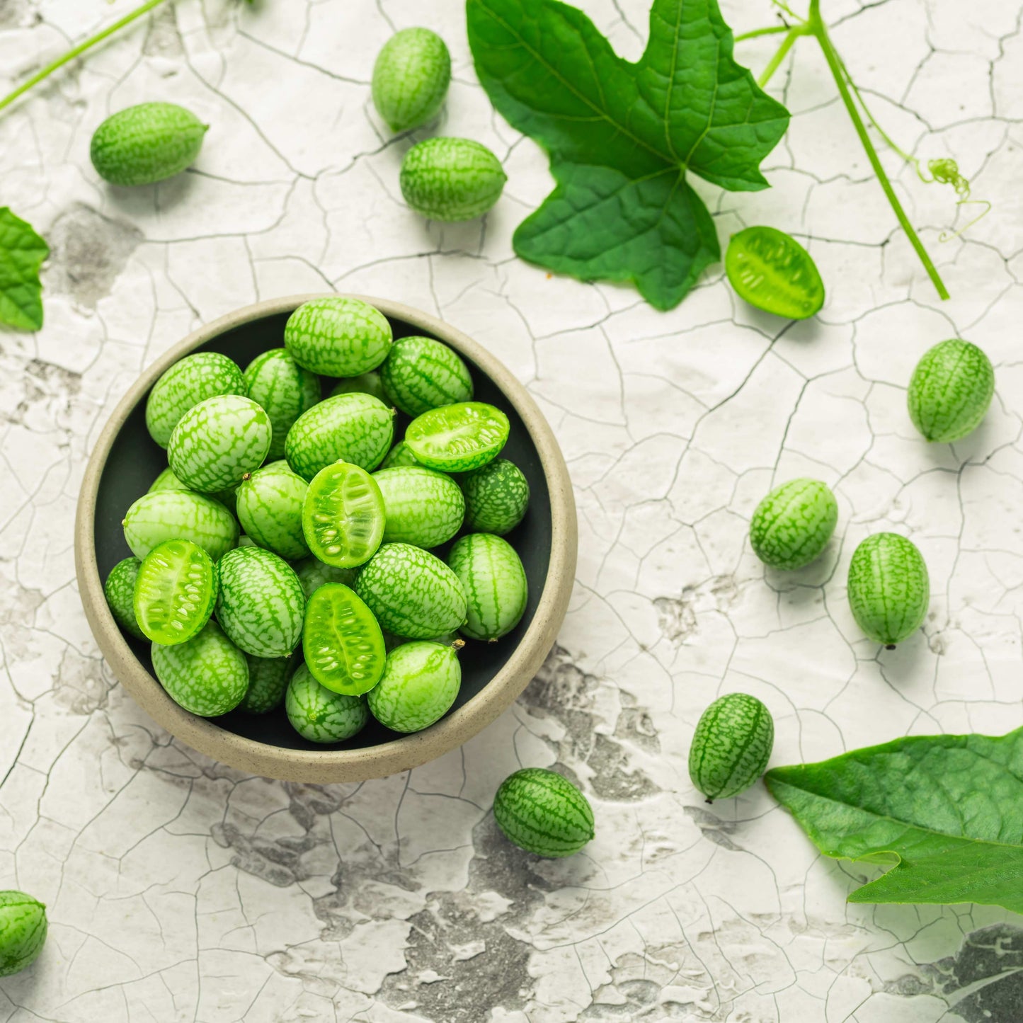 100pcs Mexican Sour Gherkin Mini Cucumber Seeds