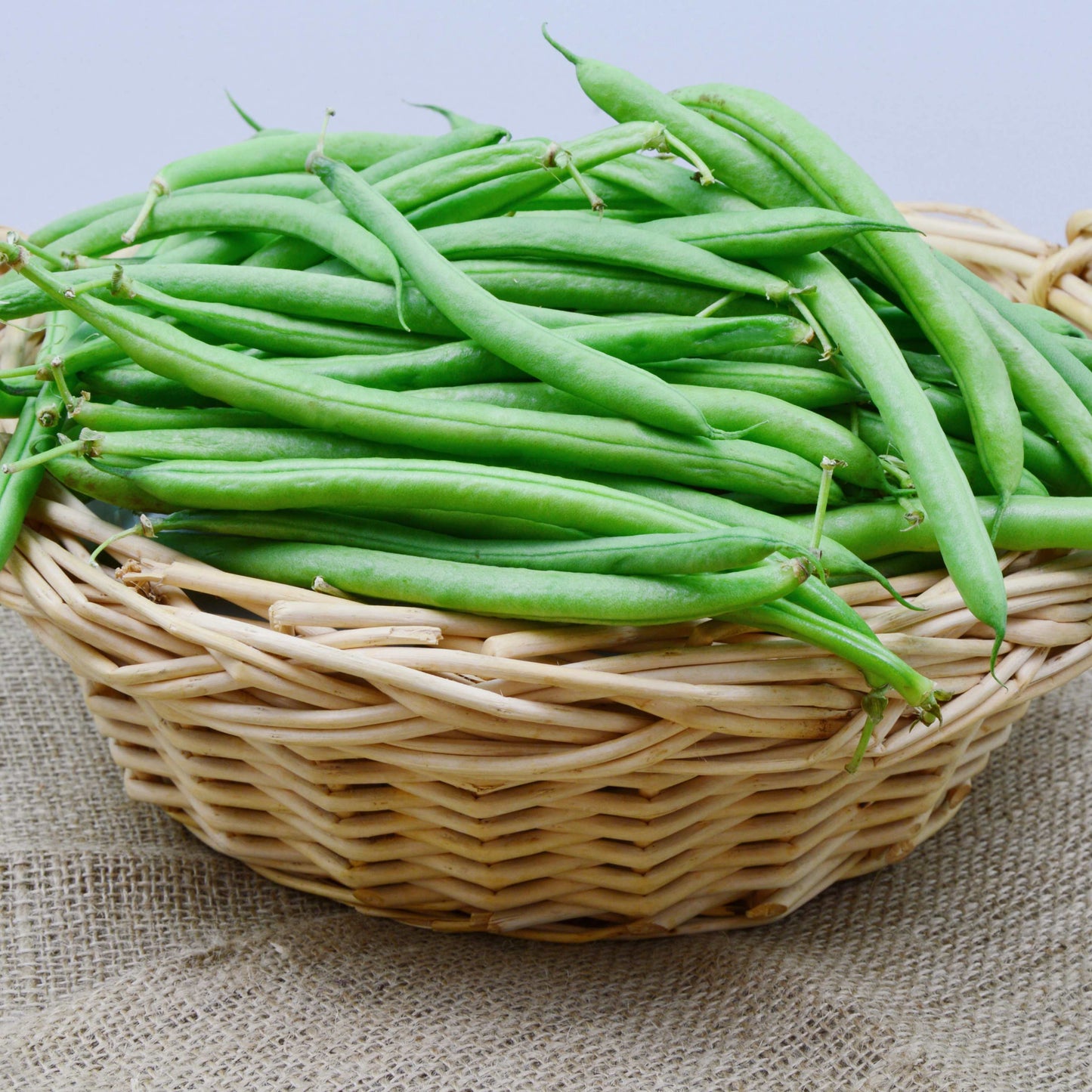 50Pcs Bush Beans Seeds