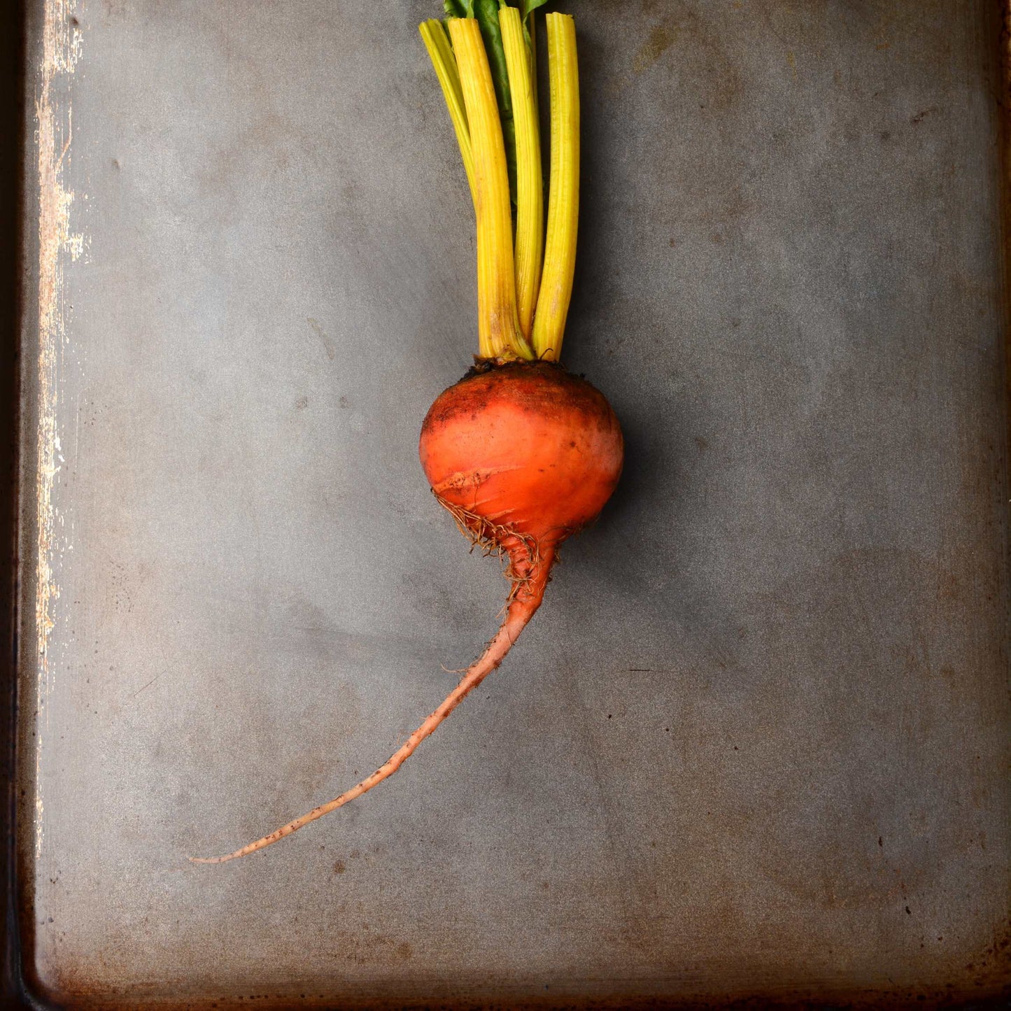 50Pcs Organic Golden Beetroot Seeds Pack