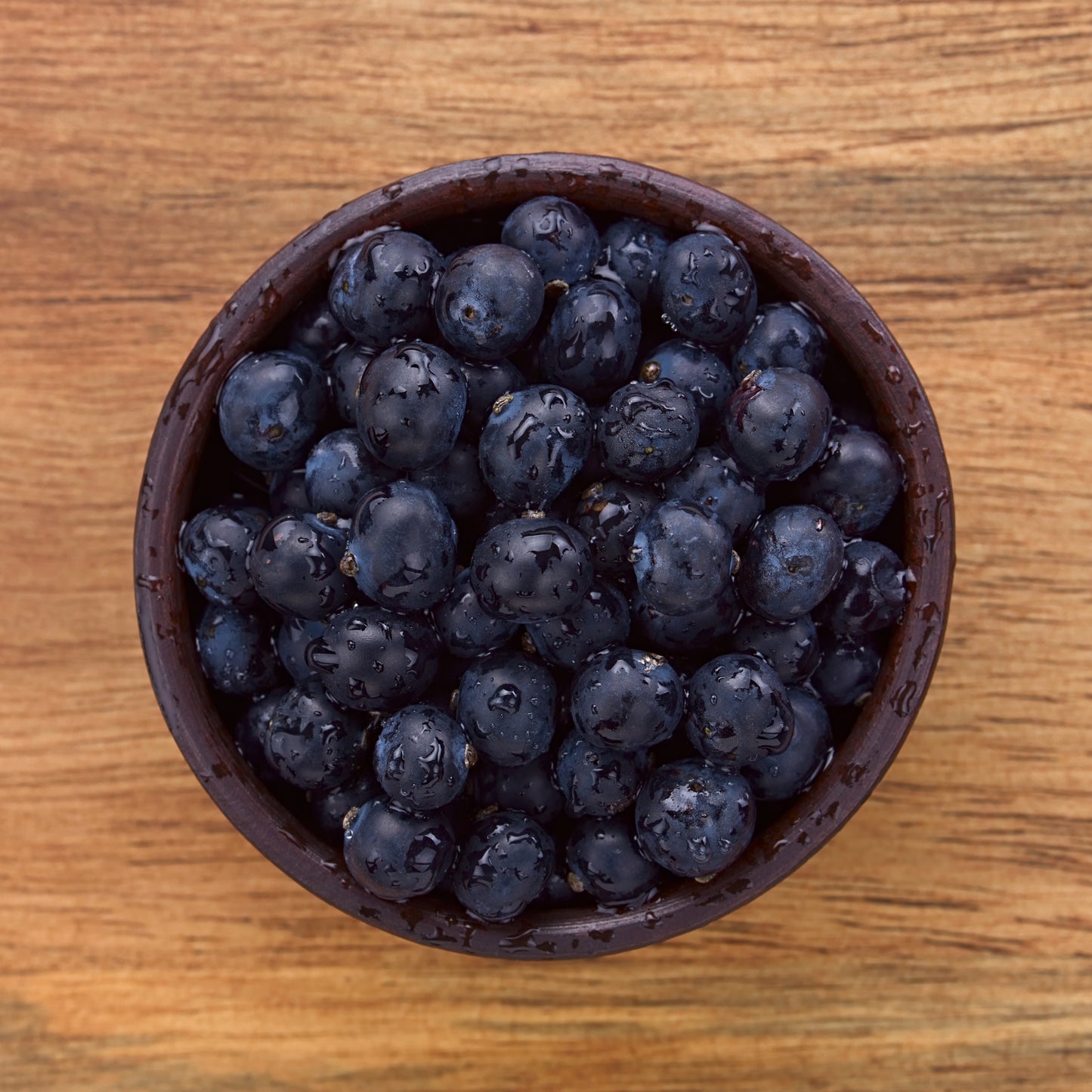 50Pcs Calafate Berry (Berberis microphylla) Berry Seeds