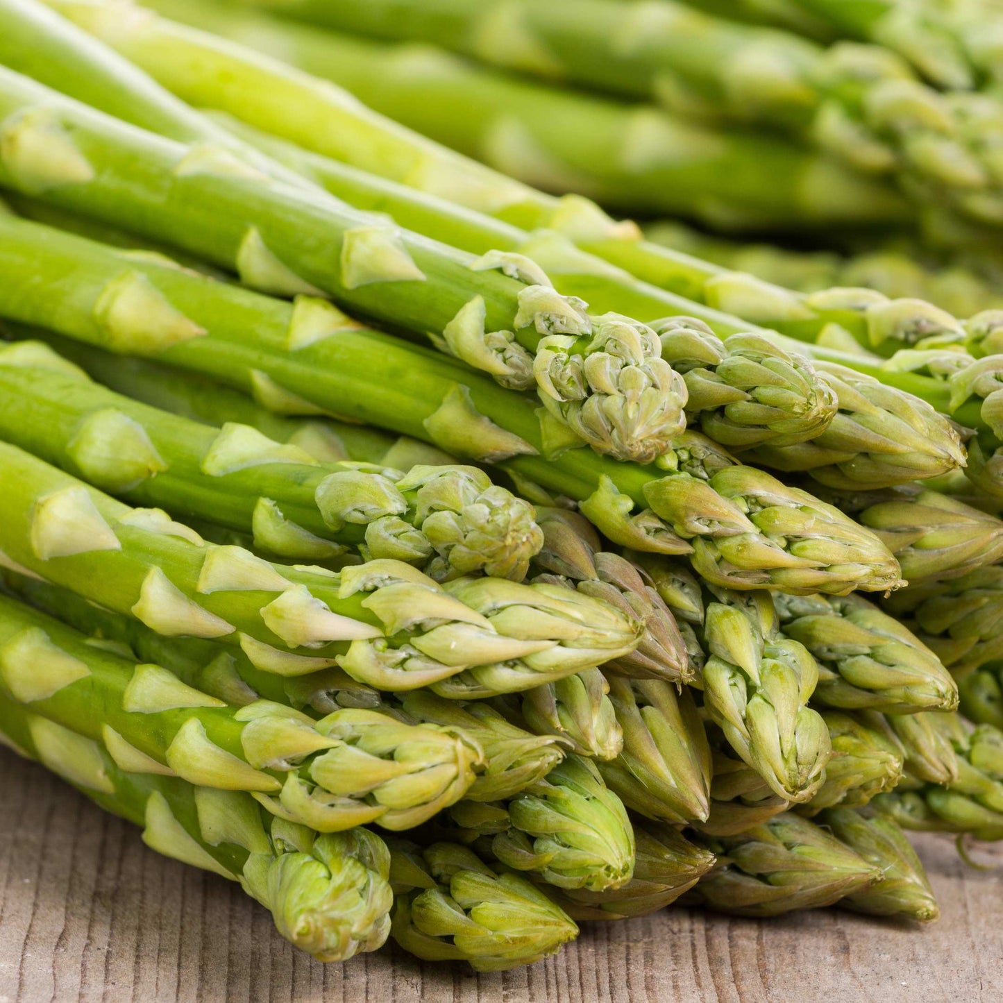 100Pcs Organic Asparagus Plant Seeds