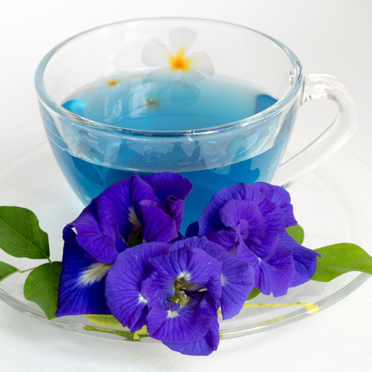Butterfly Pea Seeds