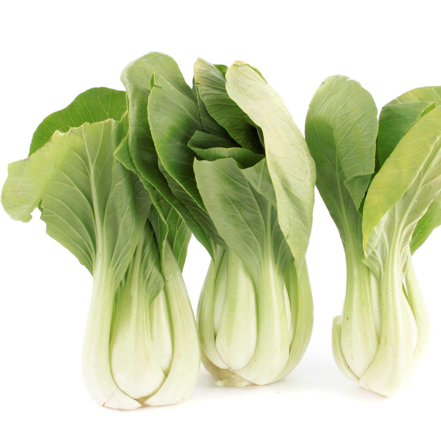 100Pcs Organic Bok Choy Seeds