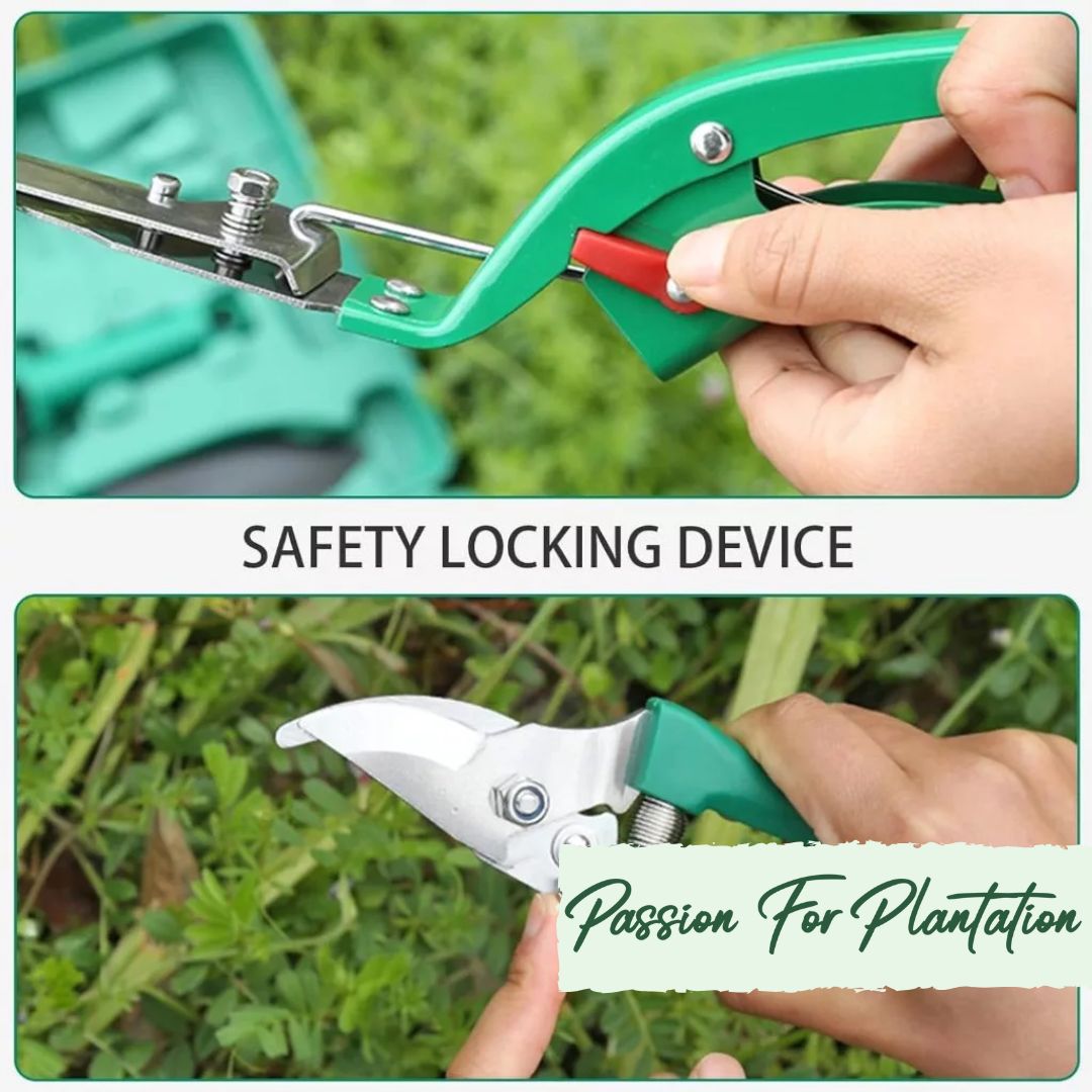 Passion for Plantation 10 Piece Eco-Friendly Gardening Tool Set with Storage Case