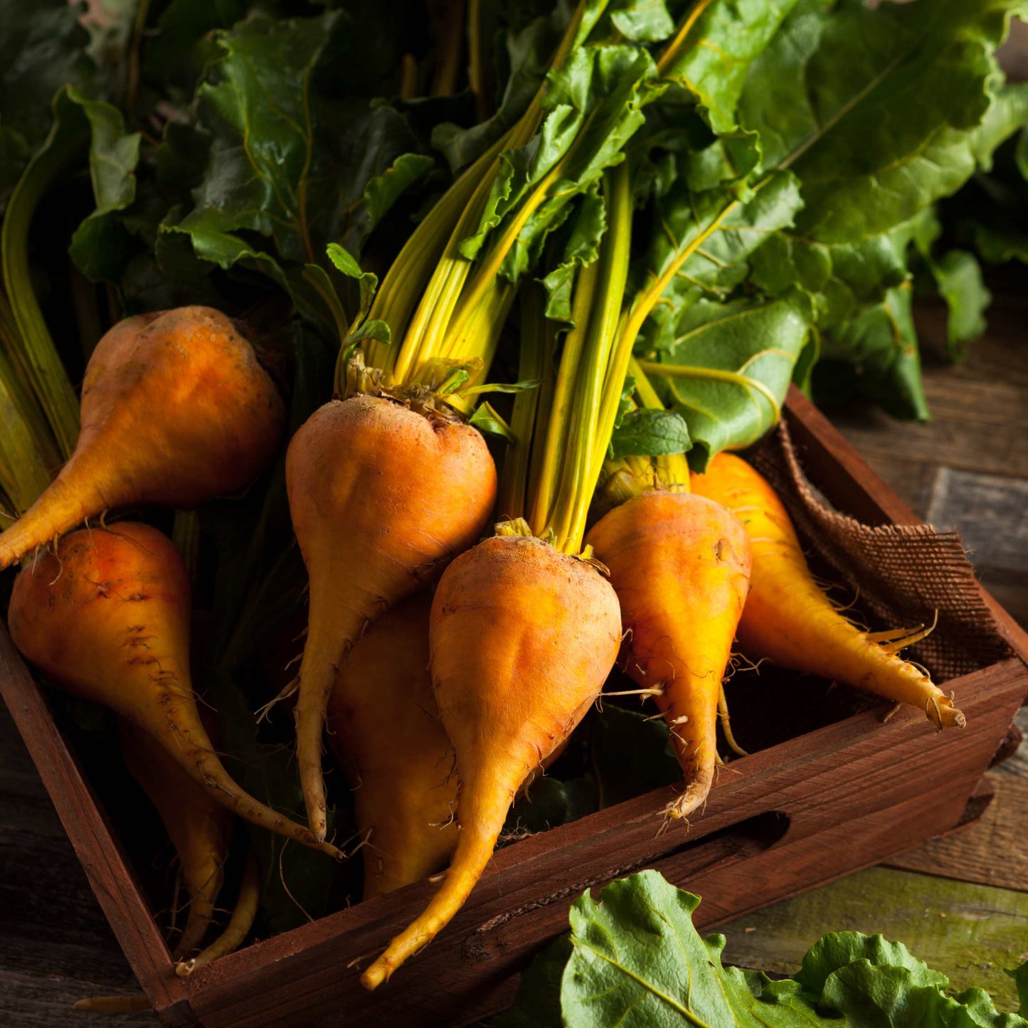 50Pcs Organic Golden Beetroot Seeds Pack