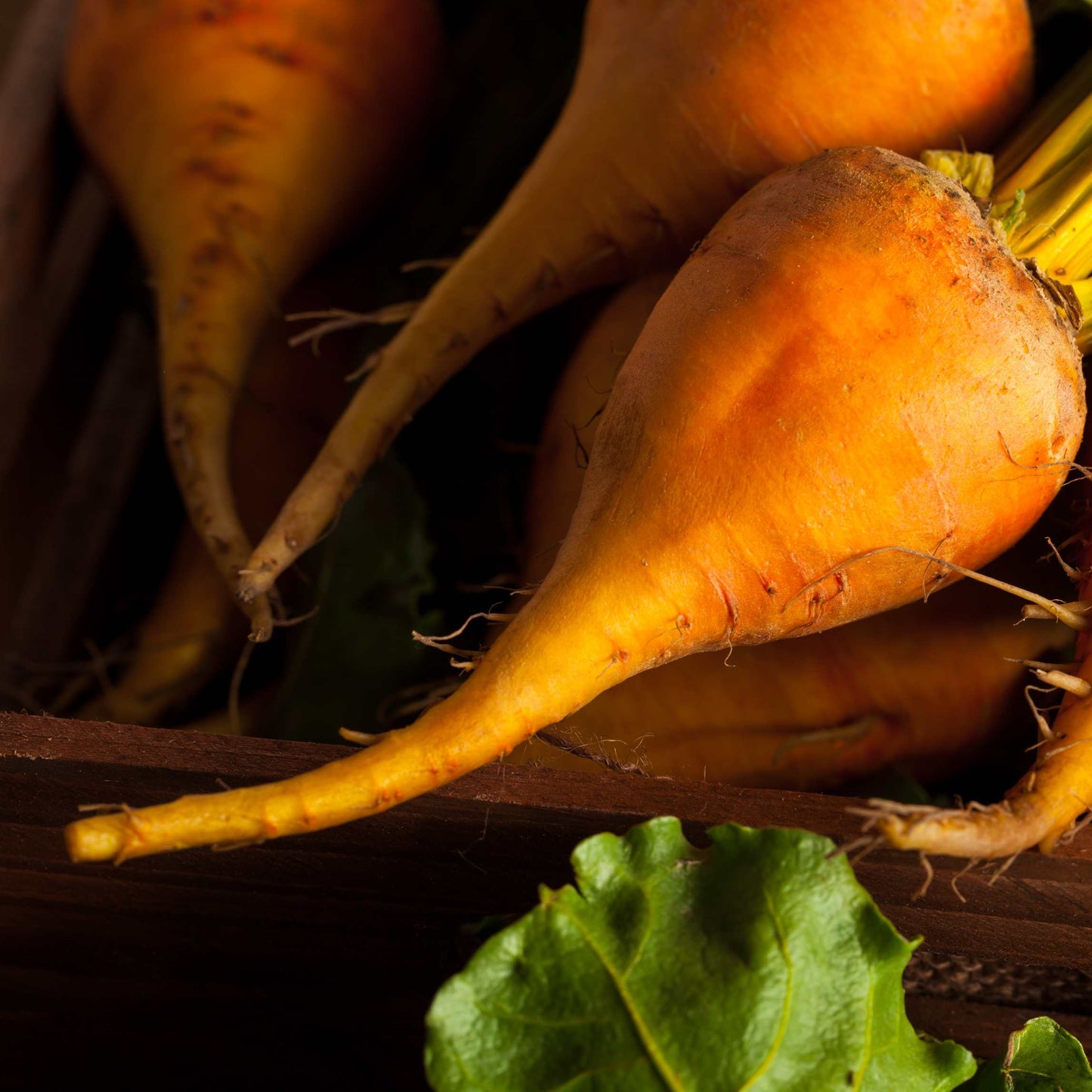 50Pcs Organic Golden Beetroot Seeds Pack