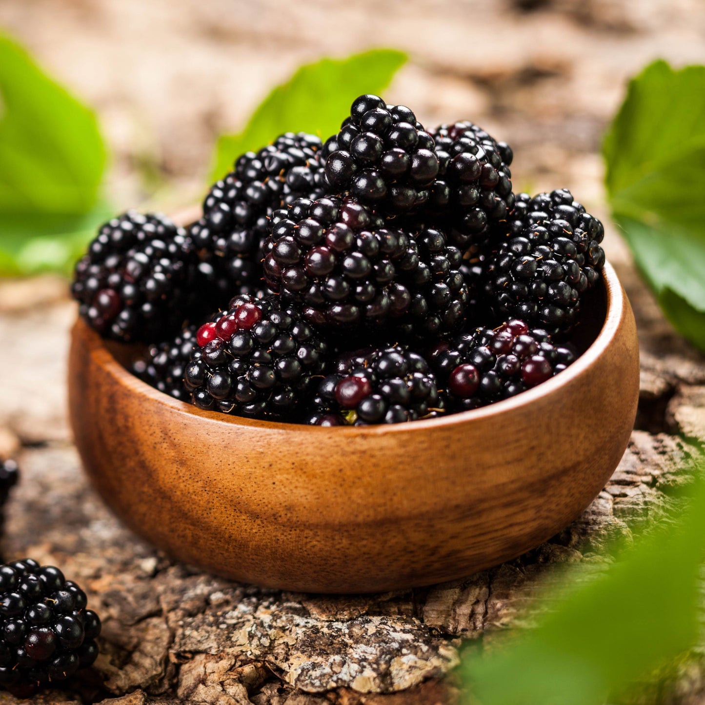 50Pcs Blackberry Seeds, Easy to Grow
