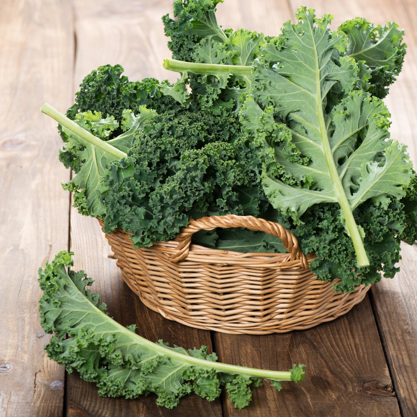 100Pcs Organic Kale Plant Seeds