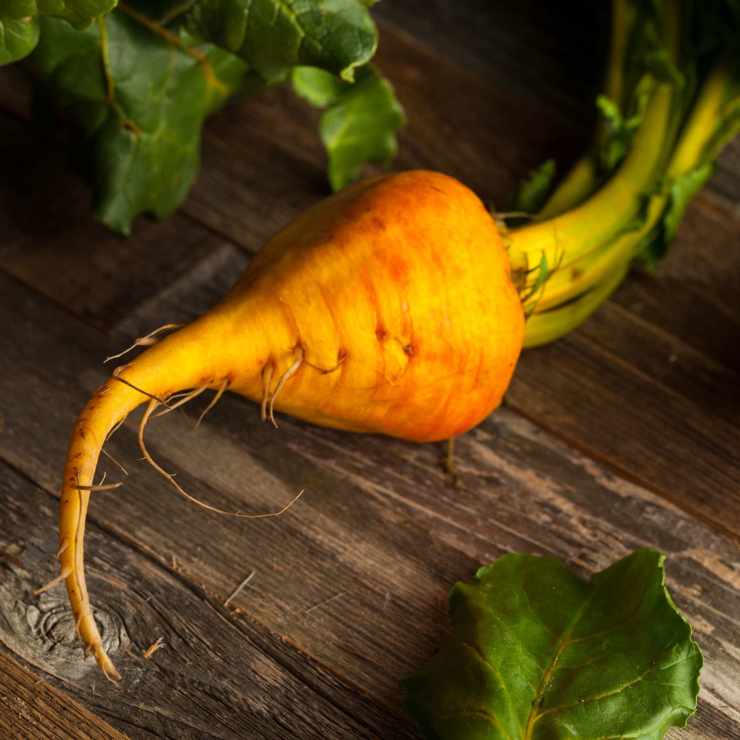 50Pcs Organic Golden Beetroot Seeds Pack