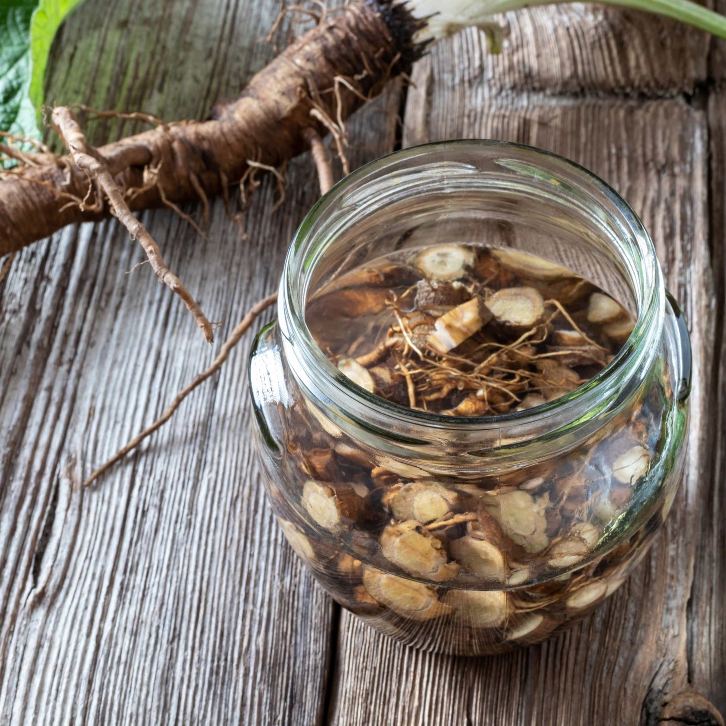 100Pcs Organic Burdock Seeds