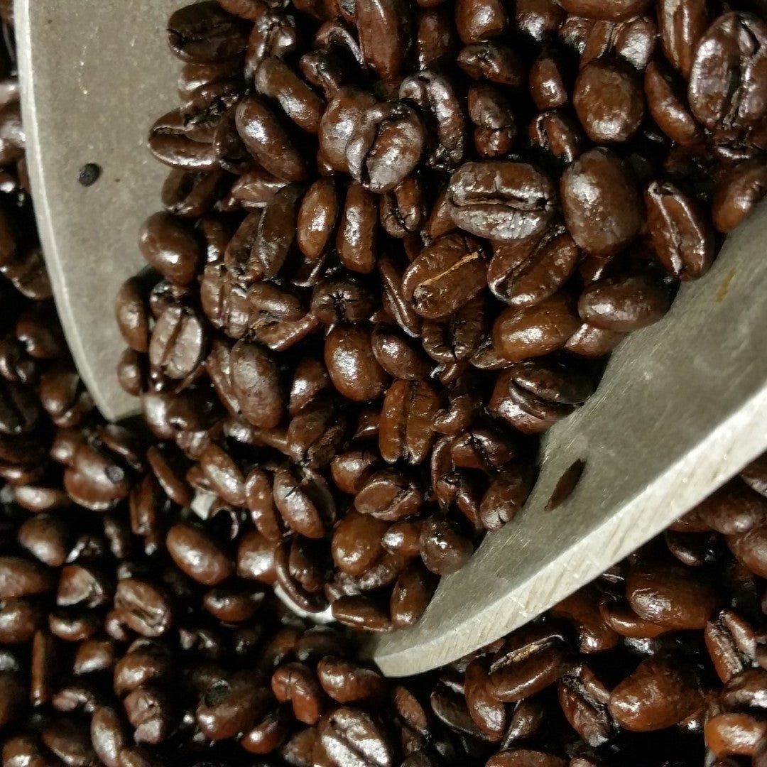 10Pcs Coffee Bean Seeds