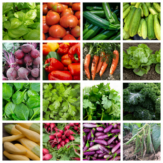 Vegetable Garden Seeds Bundle (16 Varieties)