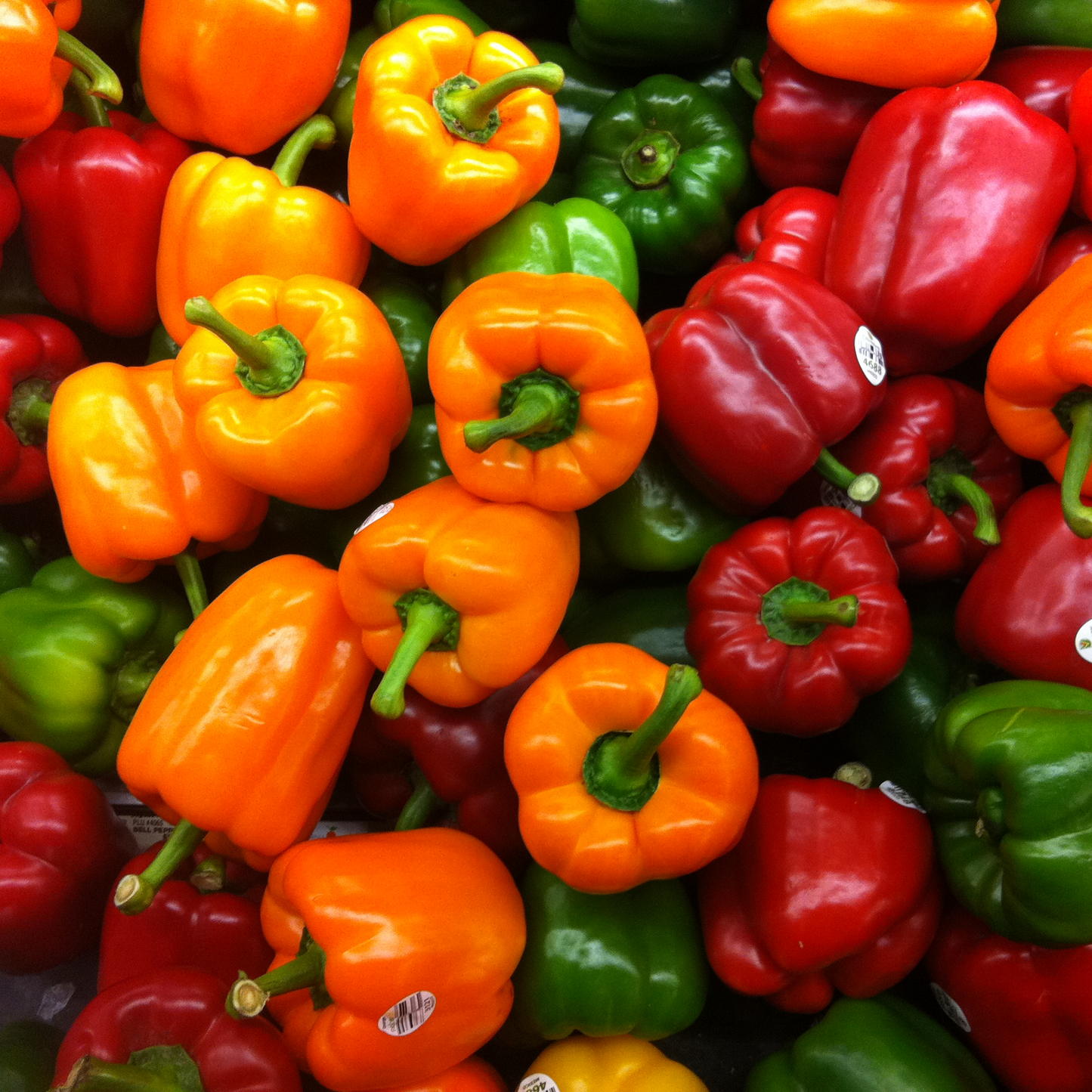 50Pcs Mixed Colourful Bell Pepper Seeds