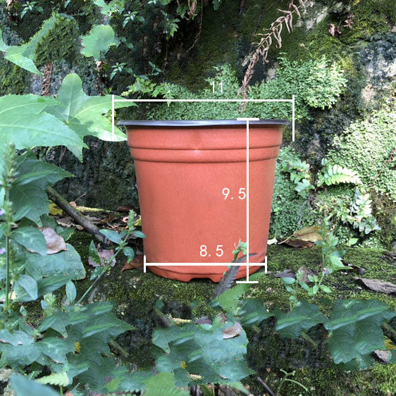 100Pcs Plastic Plant Pots For Starters