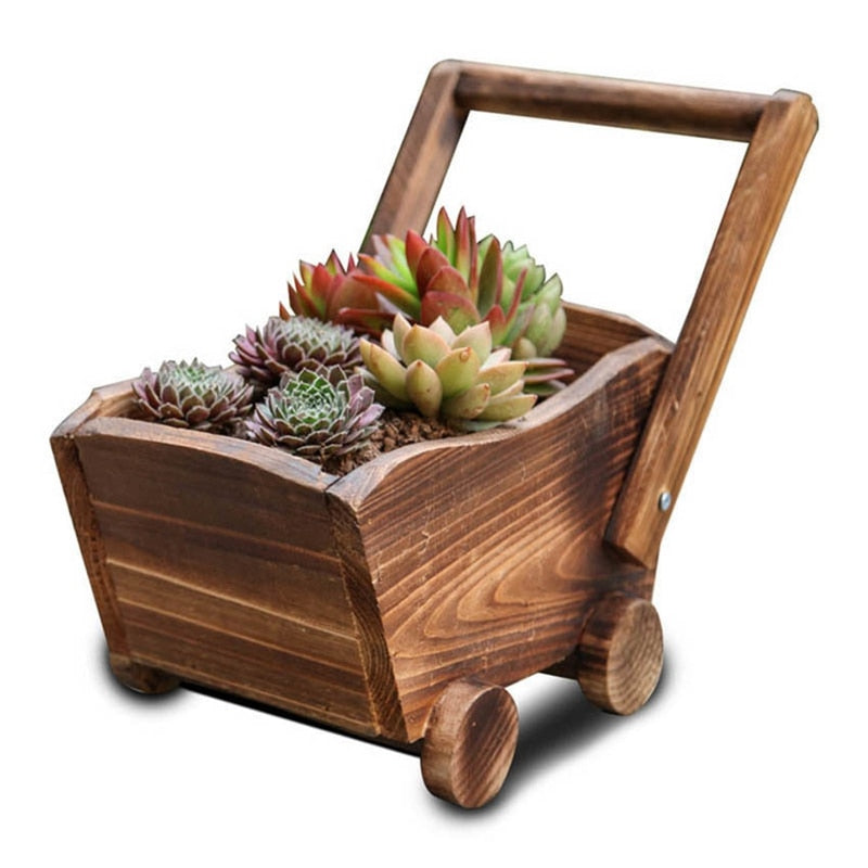 Succulent Flower Pot