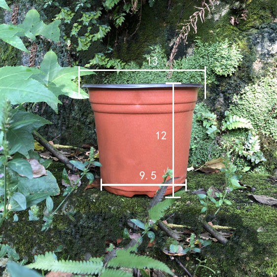 100Pcs Plastic Plant Pots For Starters