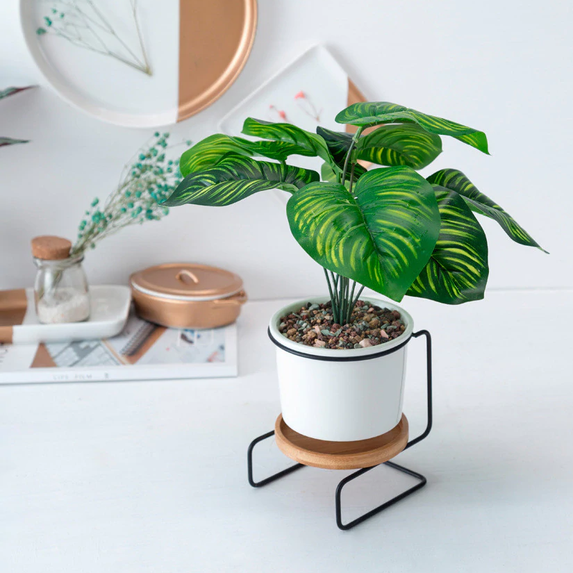 Ceramic Plant Pot with Iron Frame