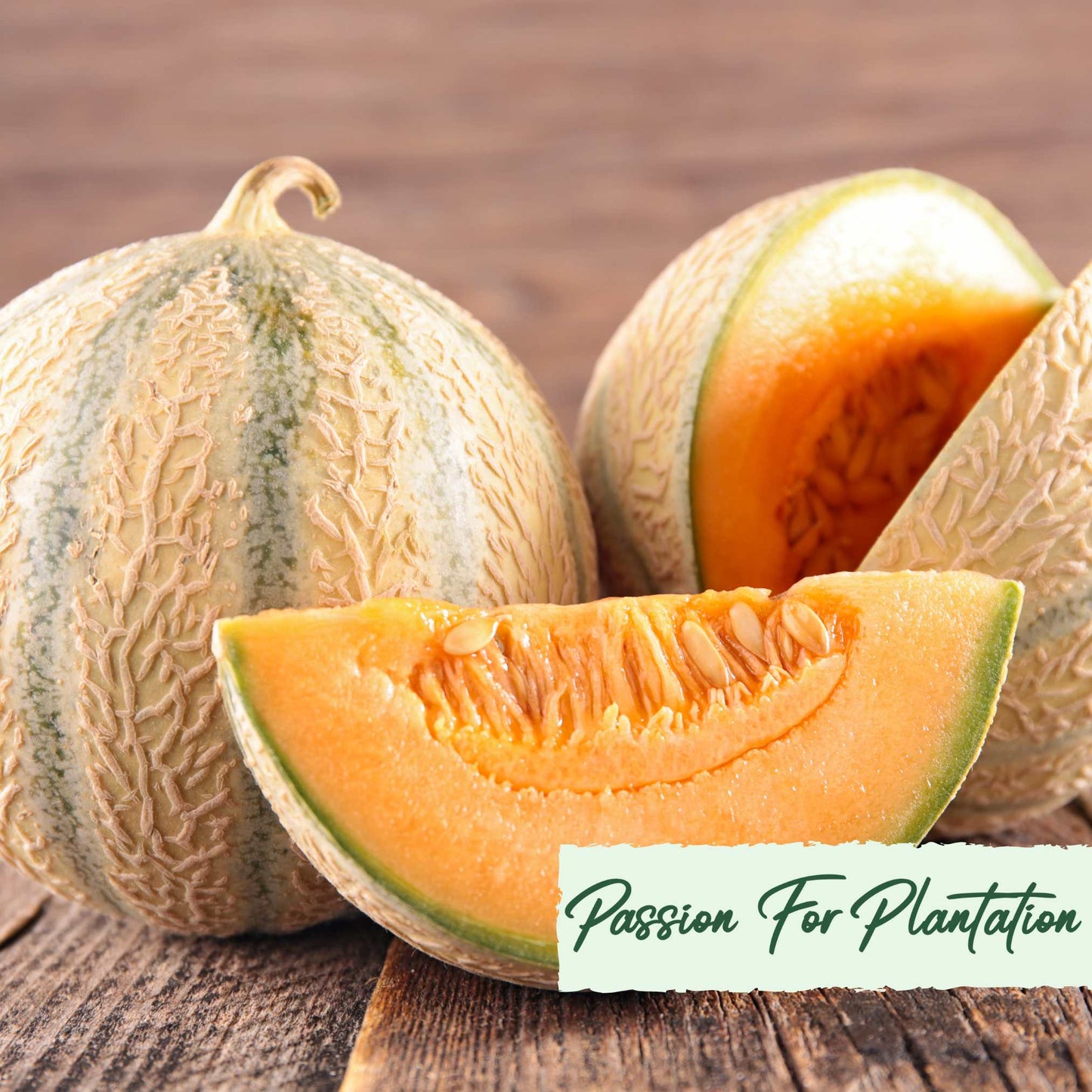 20Pcs Yubari Phoenix Emperor Melon Fruit Seeds