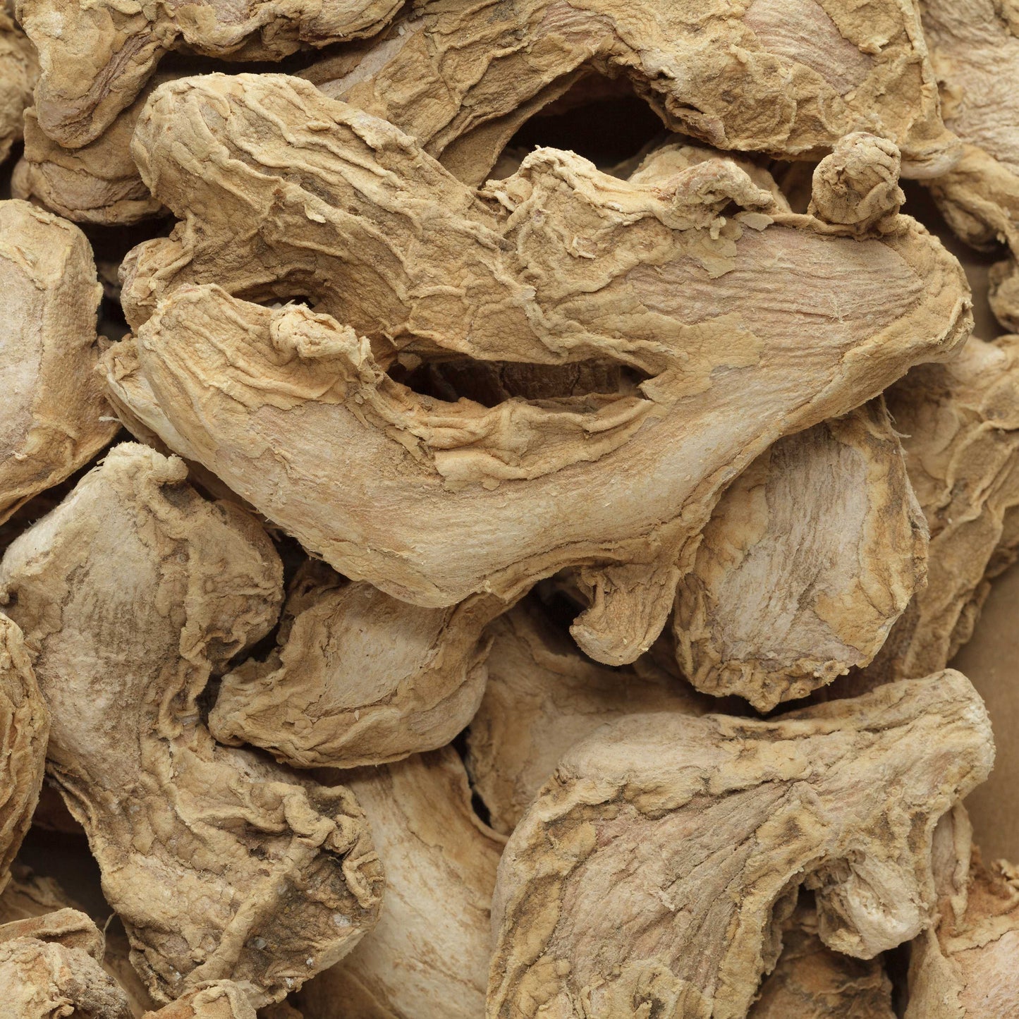 100Pcs Zingiber Ginger Plant Seeds