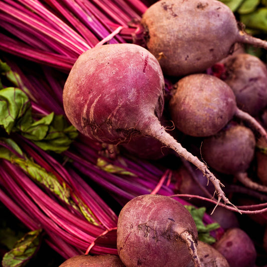 50Pcs Organic Sugar Beet Seeds Pack