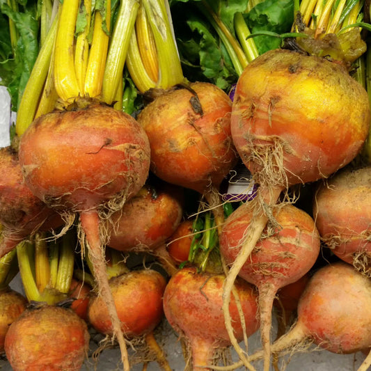 50Pcs Organic Golden Beetroot Seeds Pack
