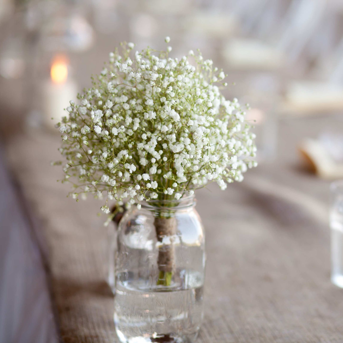 50Pcs Baby's Breath, Gypsophila Seeds