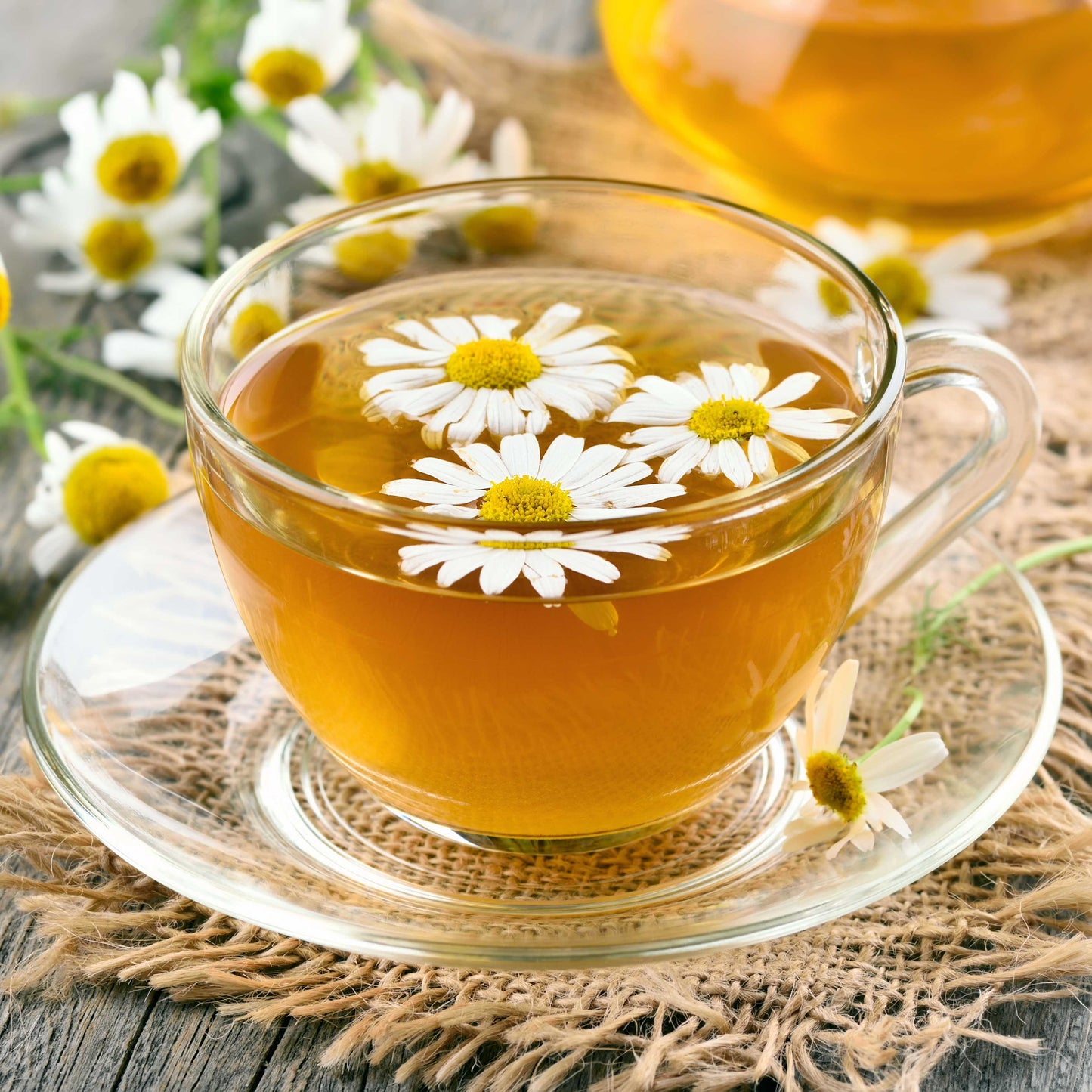 100Pcs German Chamomile Seeds