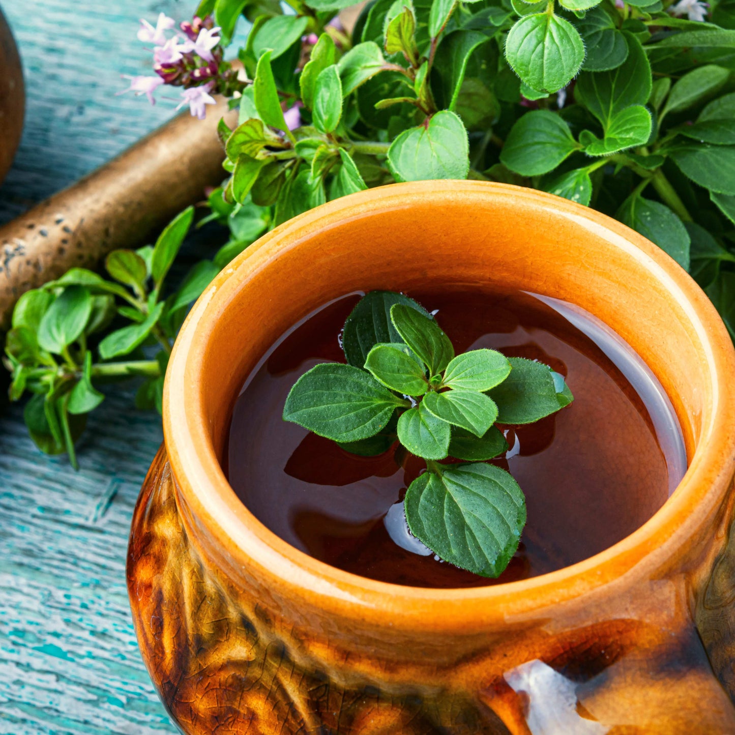 100pcs Oregano Herb Seeds
