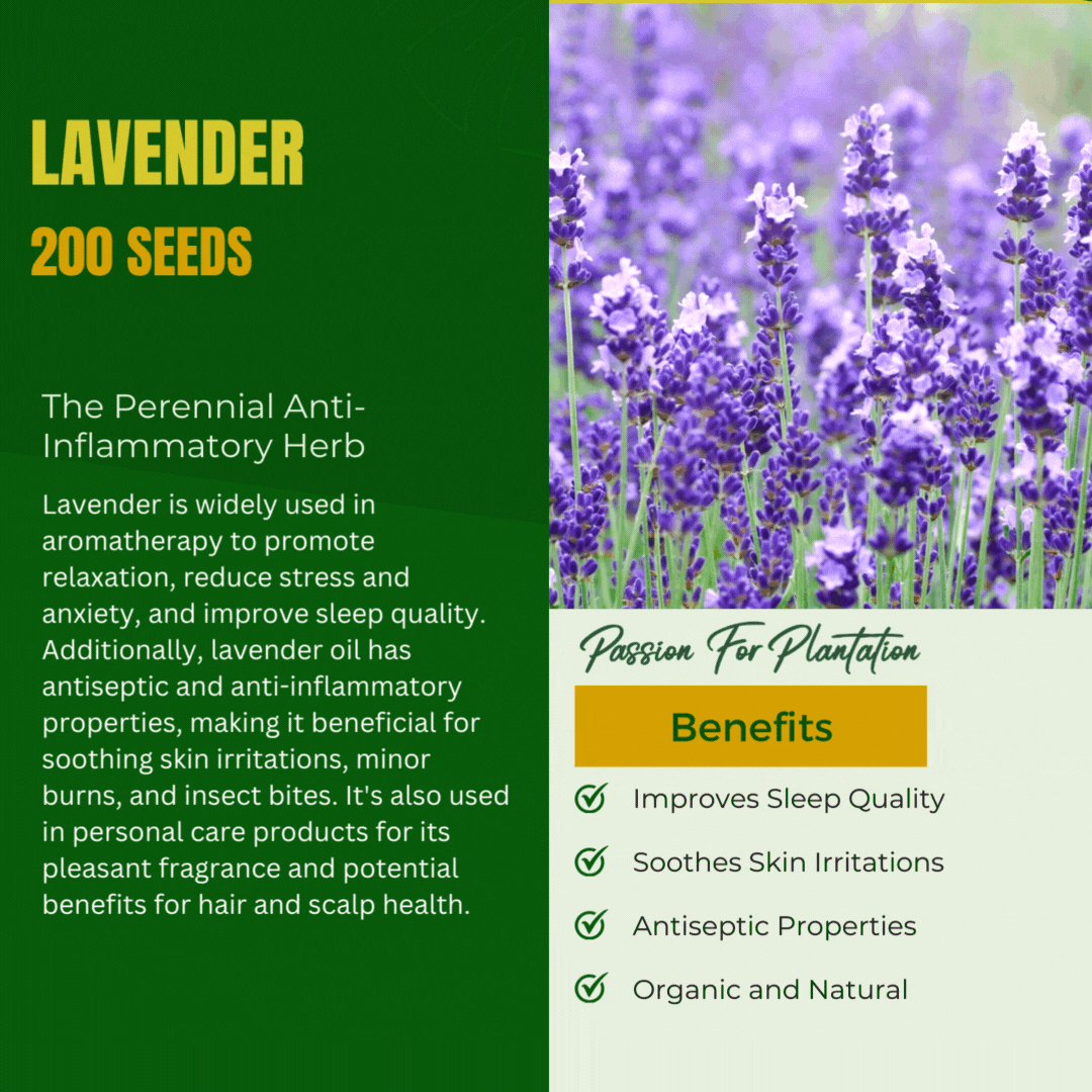 Medicinal Herb Garden Seeds Bundle (11 Essentials) Complete Set