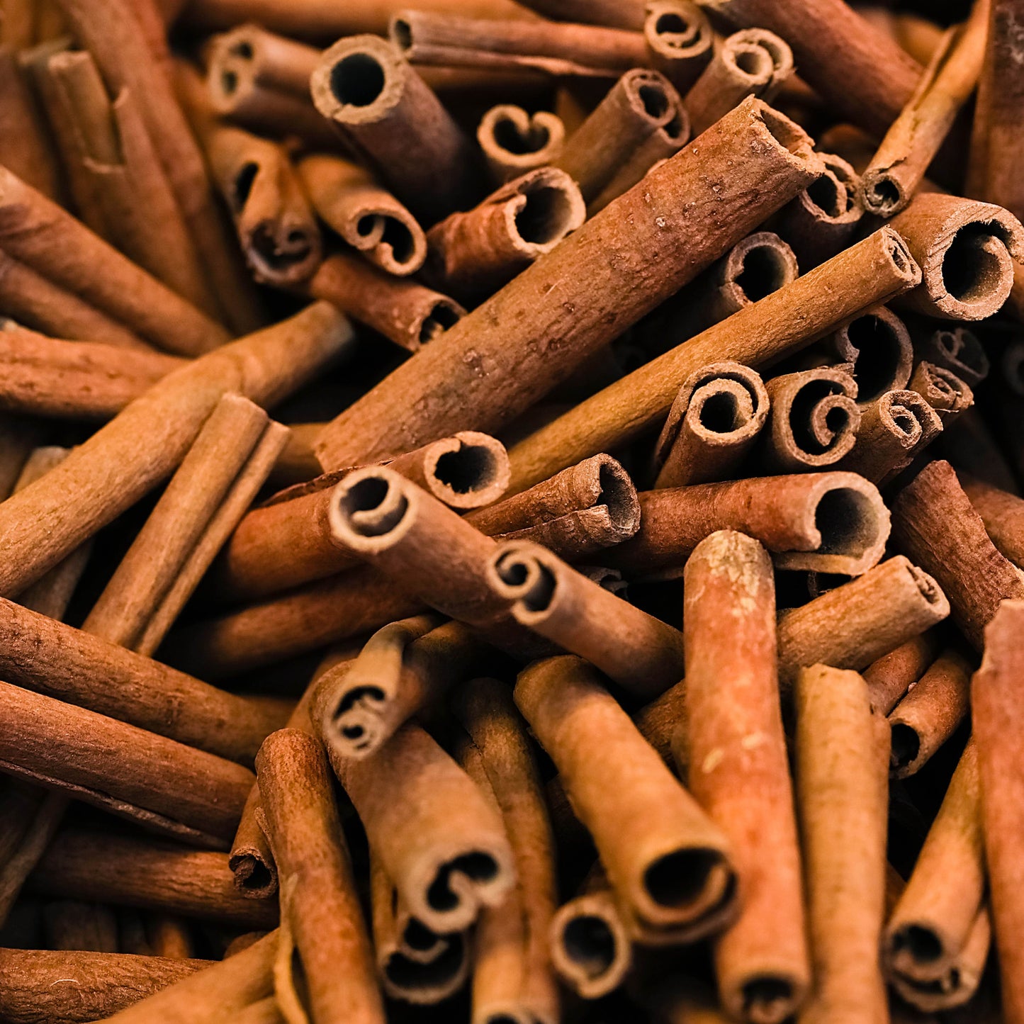 20PCs Cinnamon Tree Seeds, Easy to Grow Spice