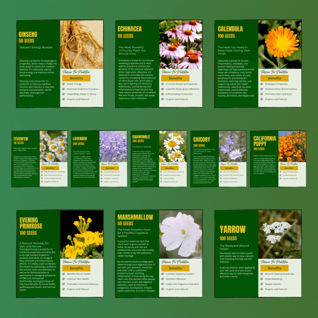 Medicinal Herb Garden Seeds Bundle (11 Essentials) Complete Set