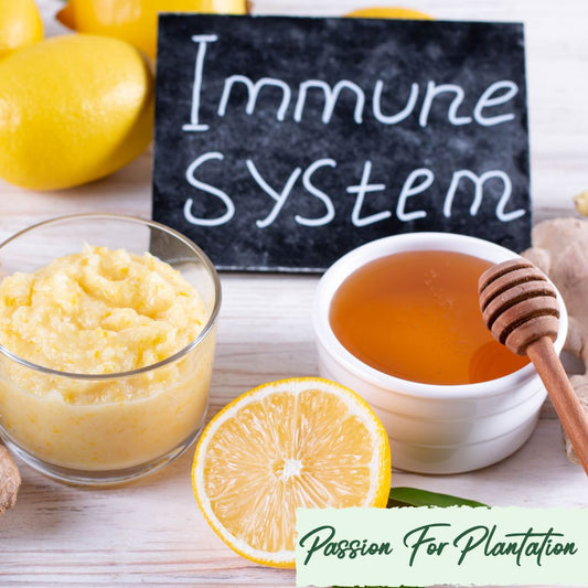 Immune Booster Herbs Kit Bundle (3 Varieties)