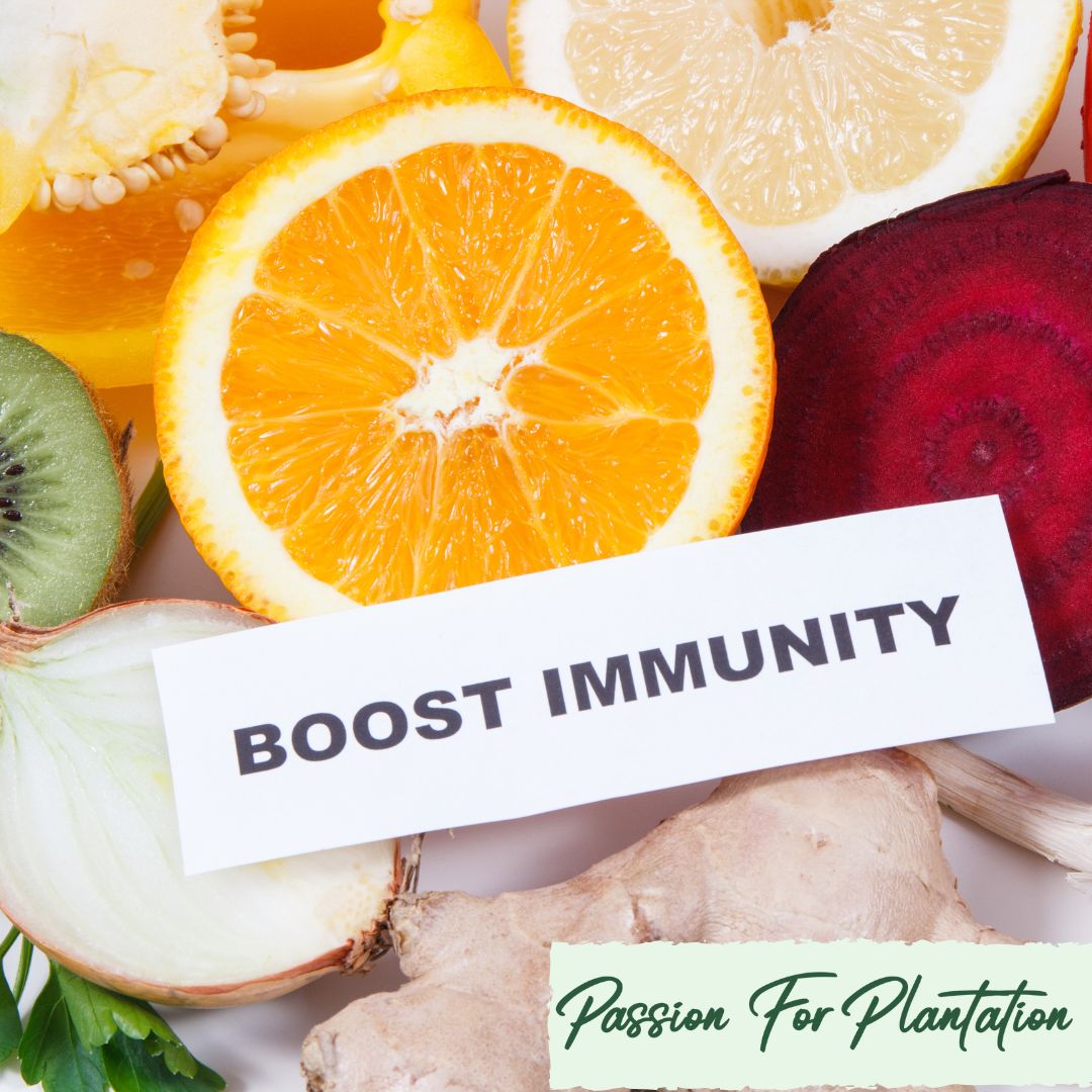 Immune Booster Fruit Seeds Bundle (3 Varieties) – Grow Your Own Superfoods