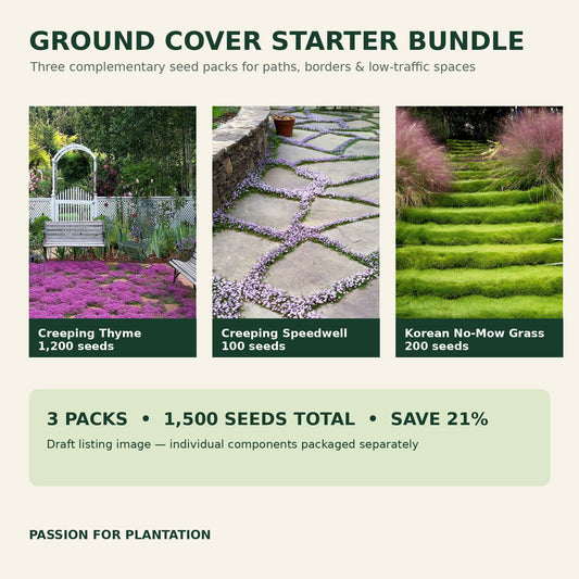Ground Cover Starter Bundle: Creeping Thyme, Creeping Speedwell and Korean No-Mow Grass seed packs