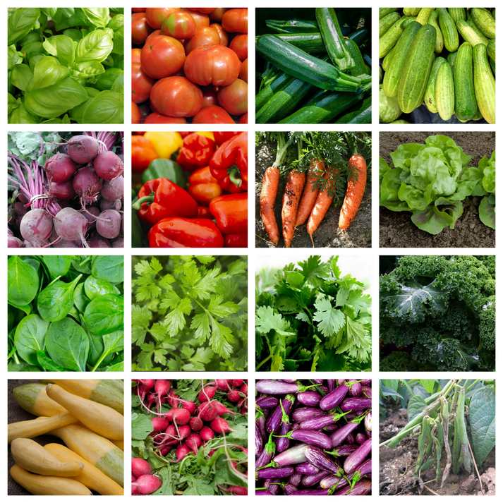 Vegetable Garden Seeds Bundle (16 Varieties) – Passion For Plantation