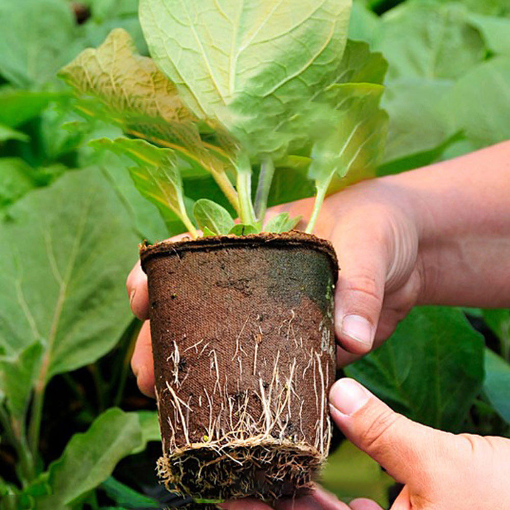 Round Biodegradable Paper Pulp Peat Flowerpot