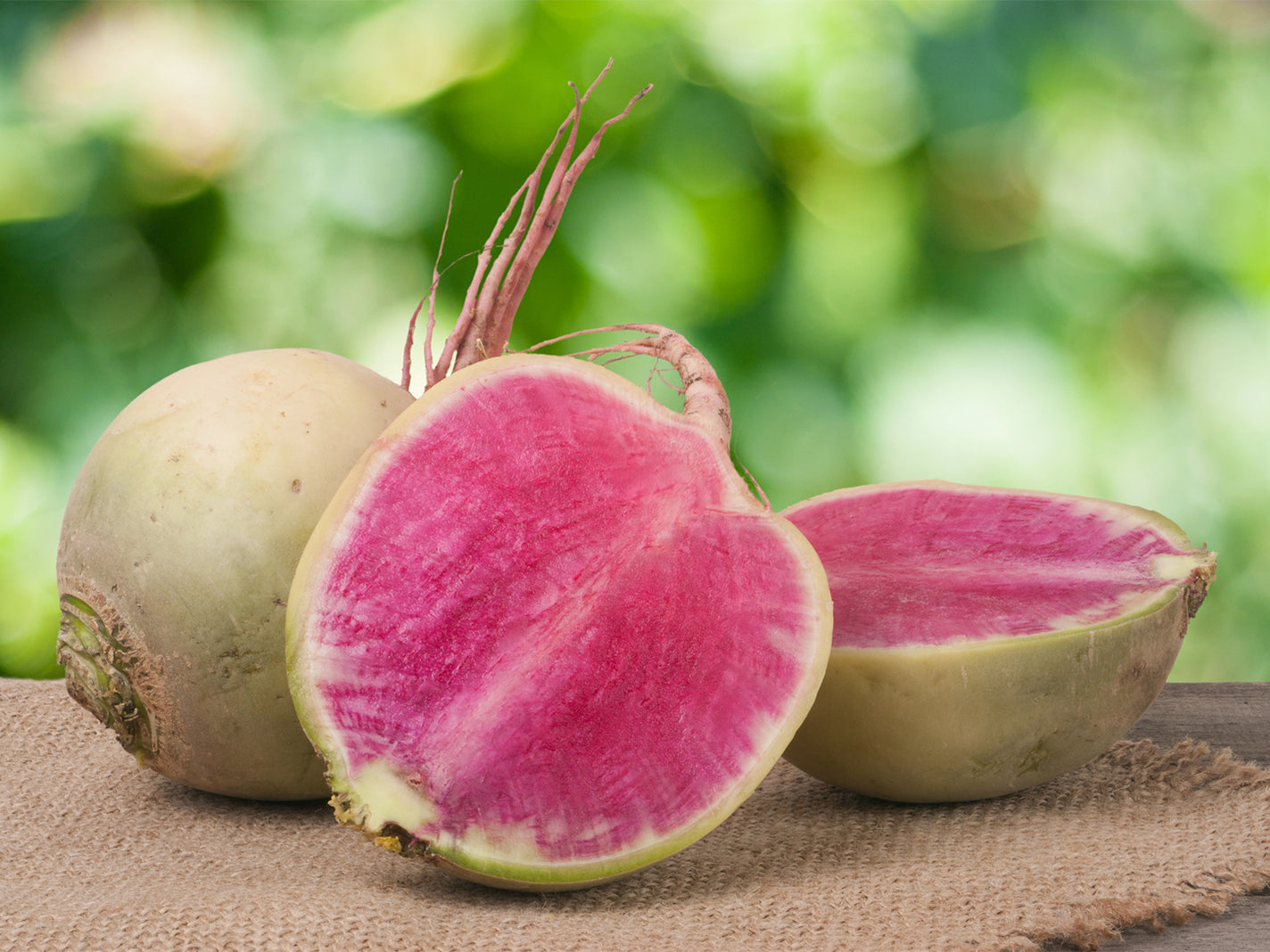 300Pcs Watermelon Radish Vegetable Heirloom Seeds