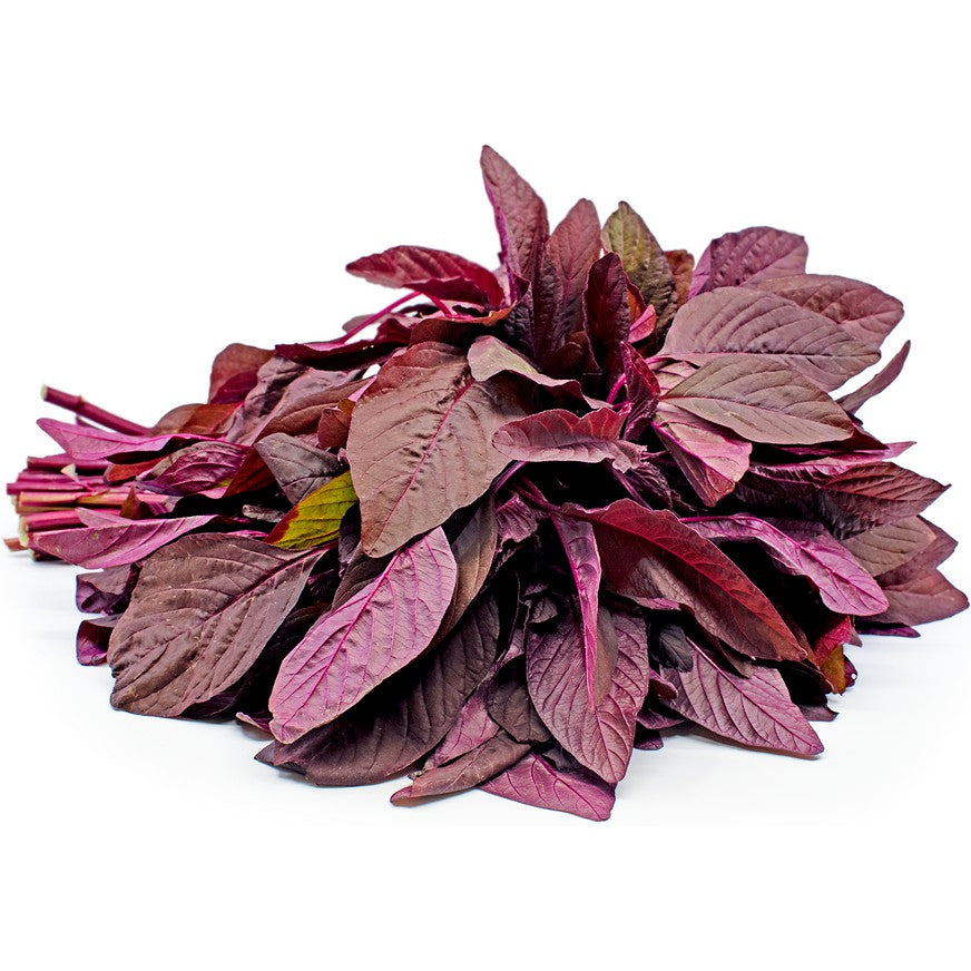 Organic Red Spinach Seeds